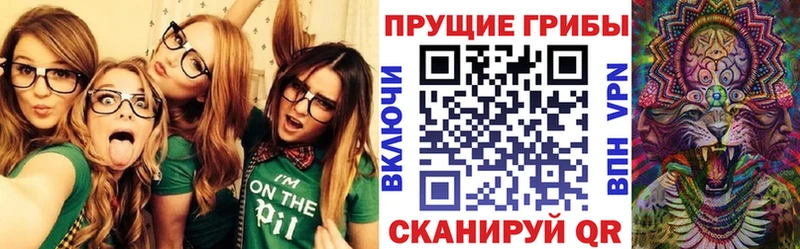 ссылка на мегу ссылки  Белгород  Псилоцибиновые грибы Magic Shrooms 